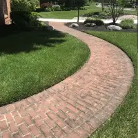 Mossy walkway before cleaning